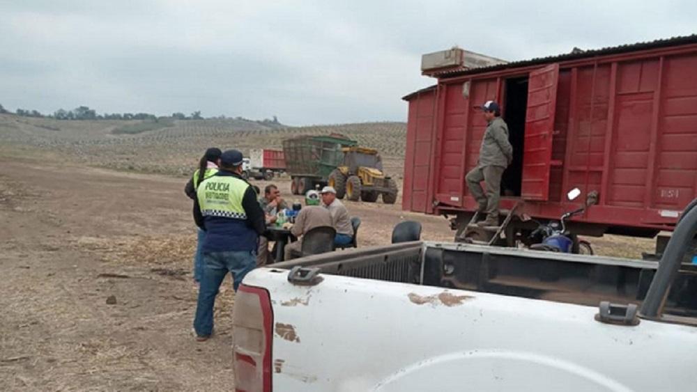 Tucumán, por mano propia: productores se organizan para desalojar tomas de campos