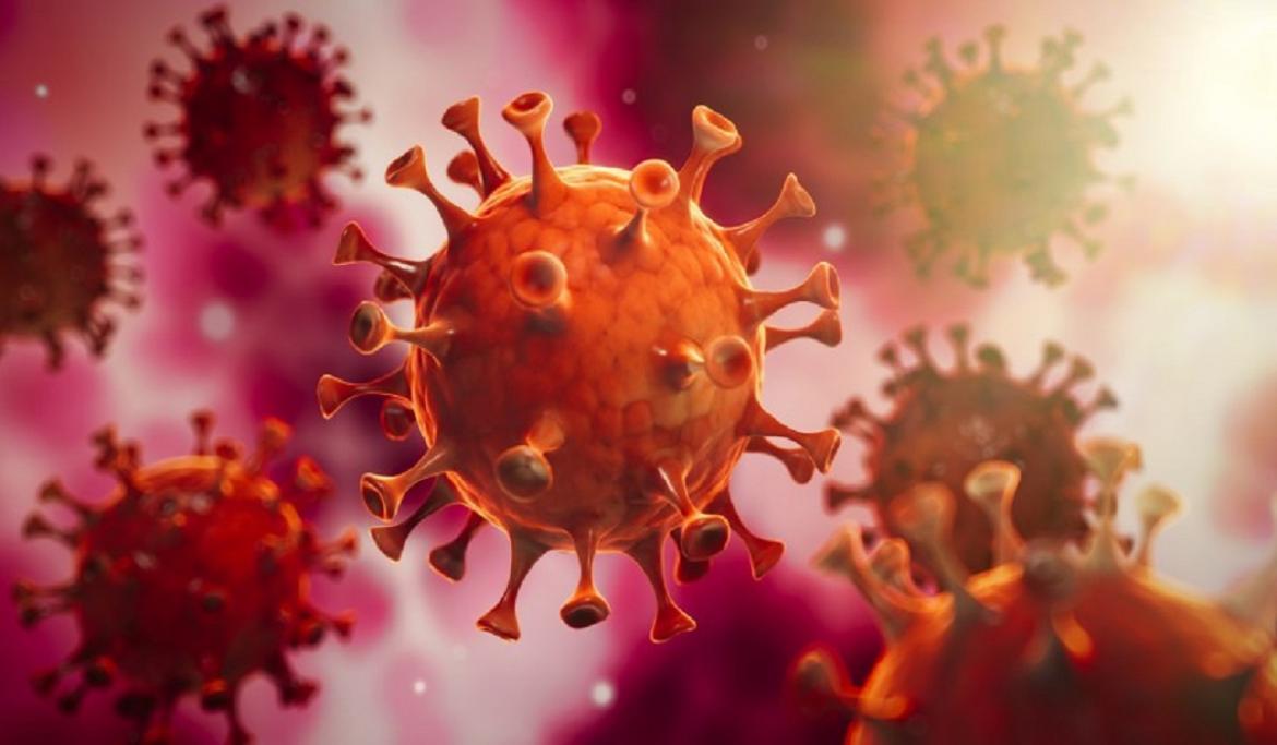 La infección por coronavirus genera anticuerpos protectores que duran más de un año